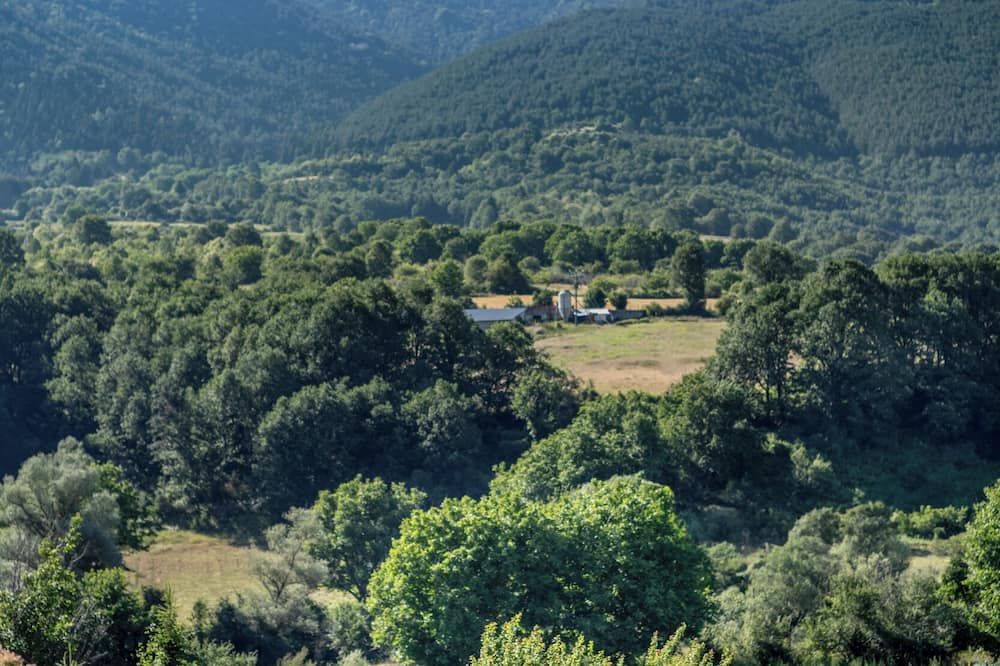 Outdoor view