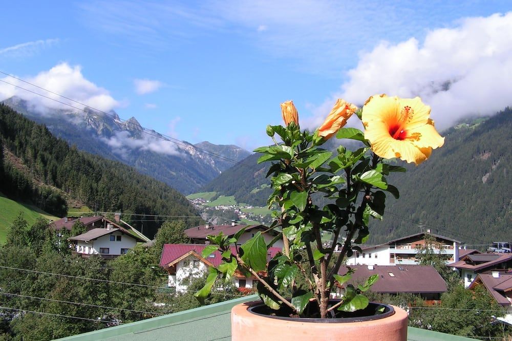 Outdoor view