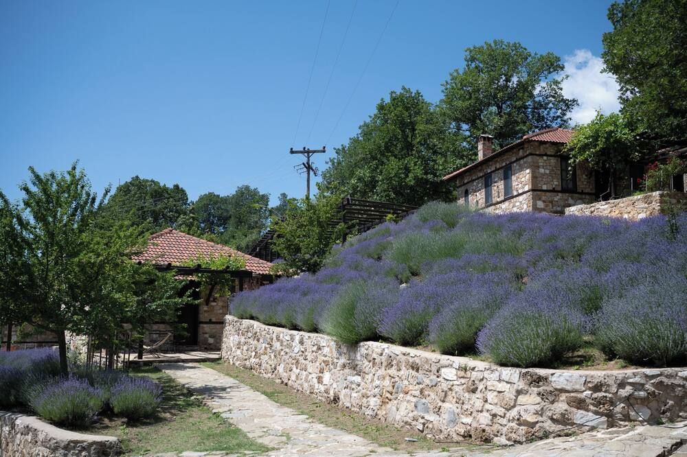Outdoor view