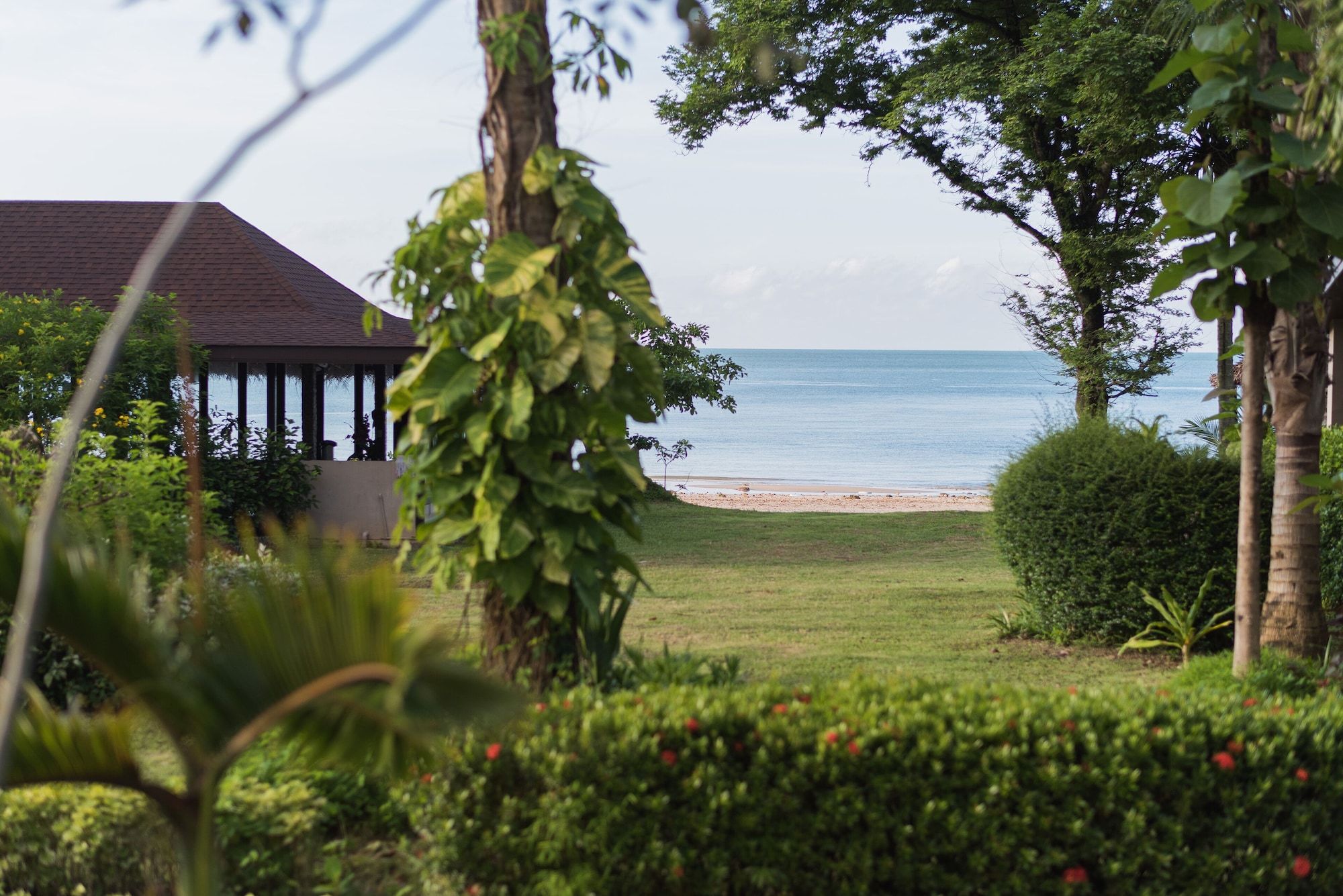Outdoor view