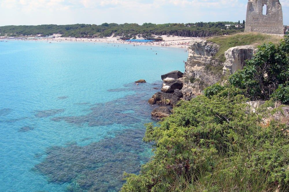 Other Photo