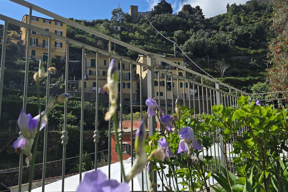 Outdoor view