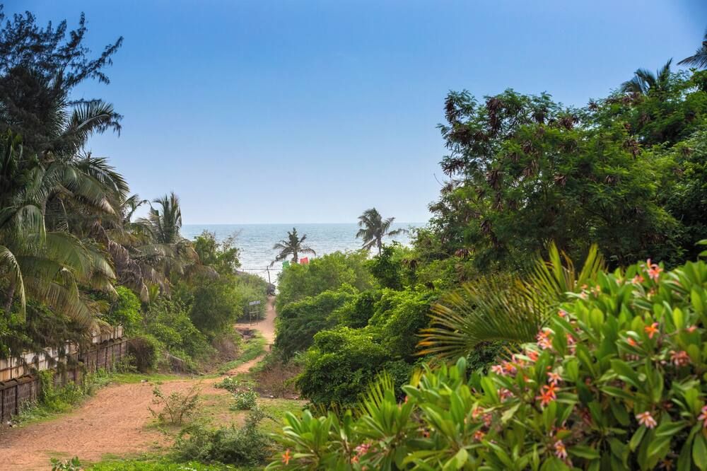 Outdoor view