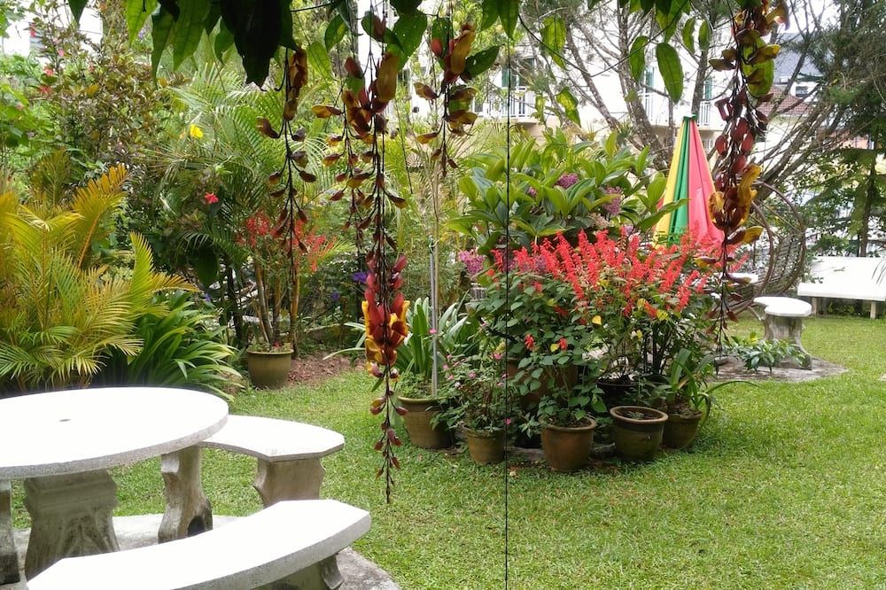 Outdoor view