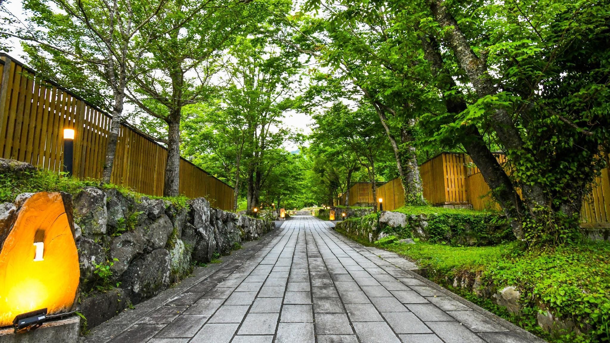 Outdoor view