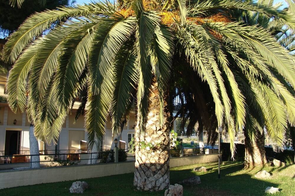 Outdoor view