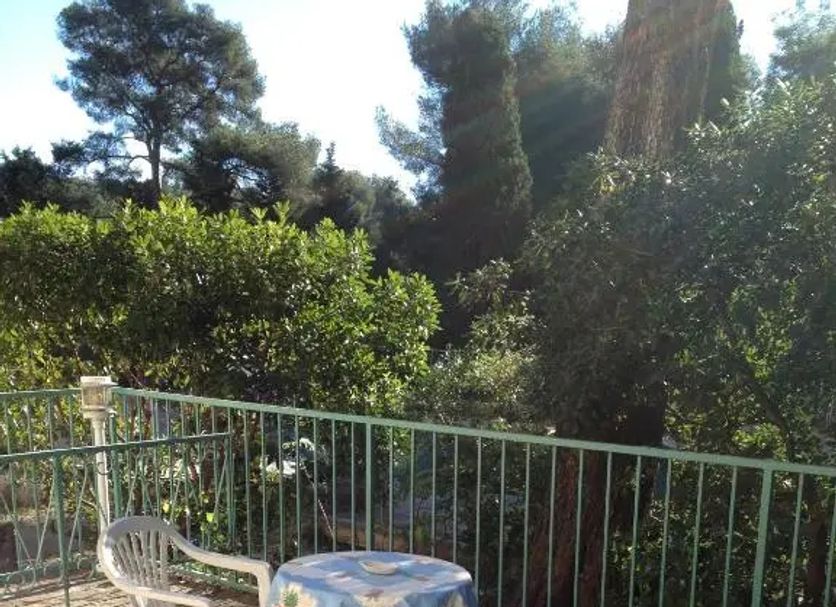 Other Photo