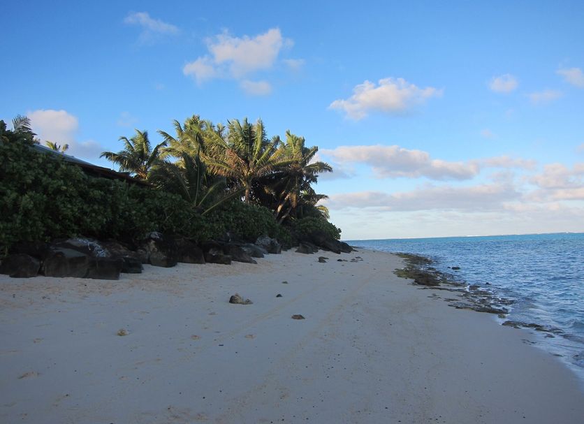 Beach Photo