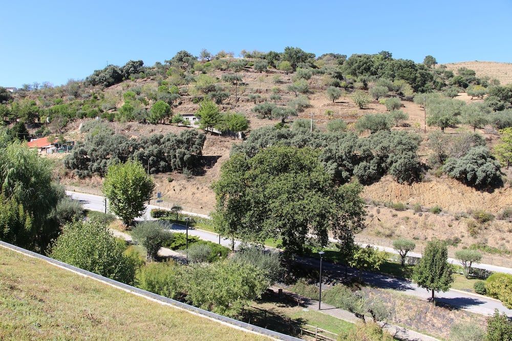 Outdoor view