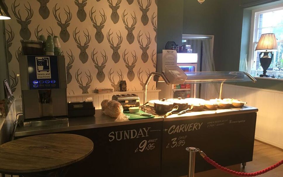 Buffet Photo