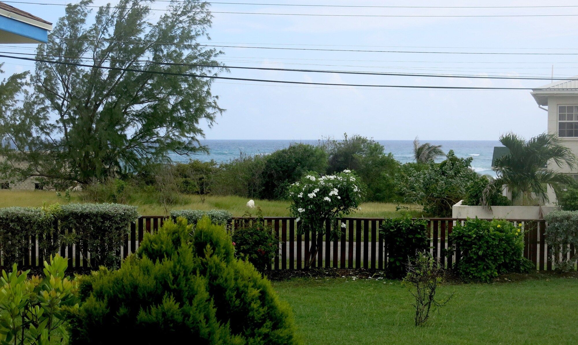 Outdoor view