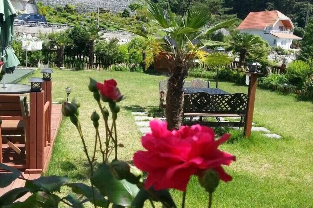 Outdoor view
