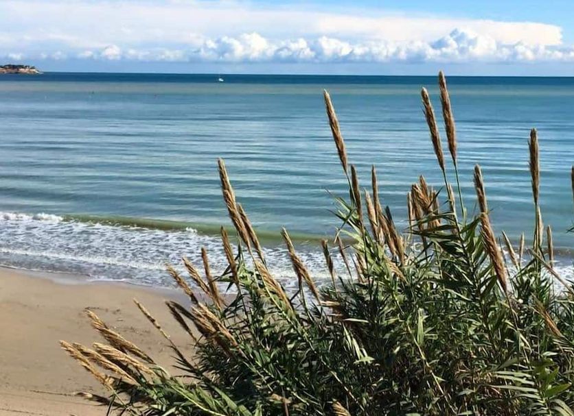 Beach Photo