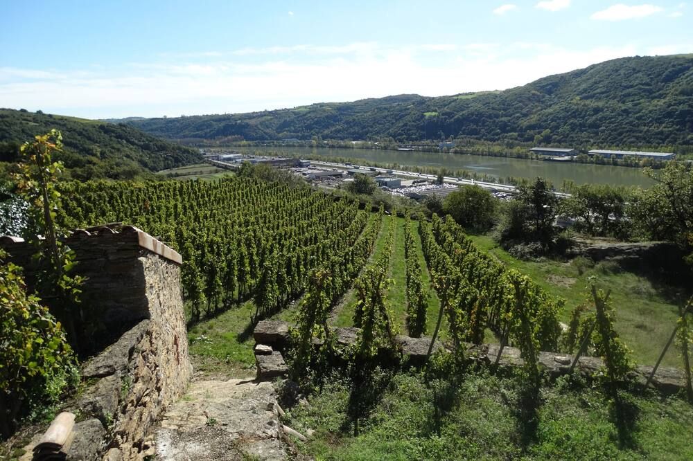 Outdoor view