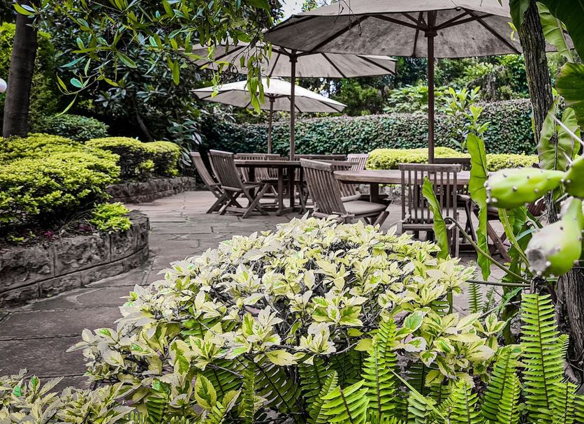 Patio Photo
