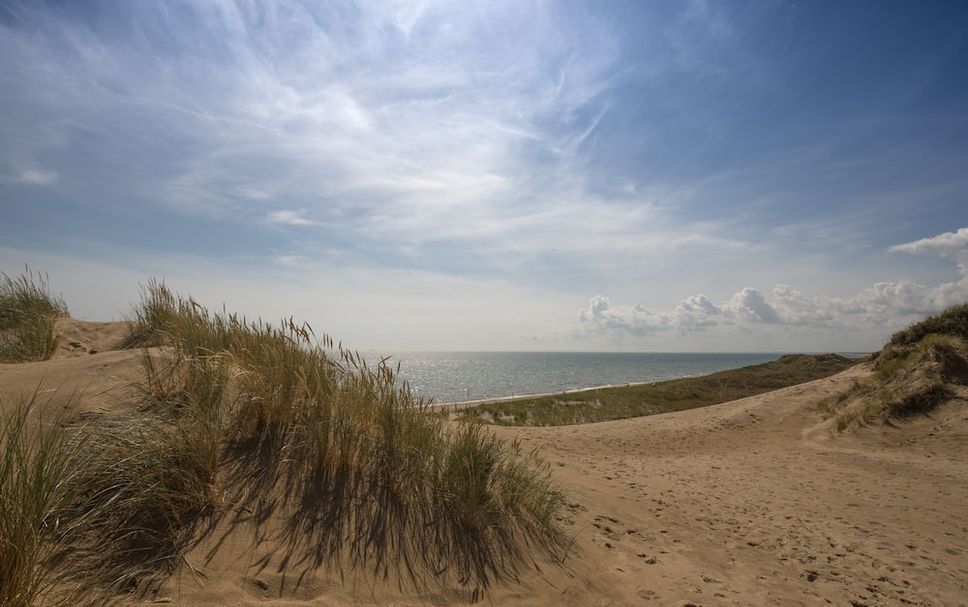 Beach Photo