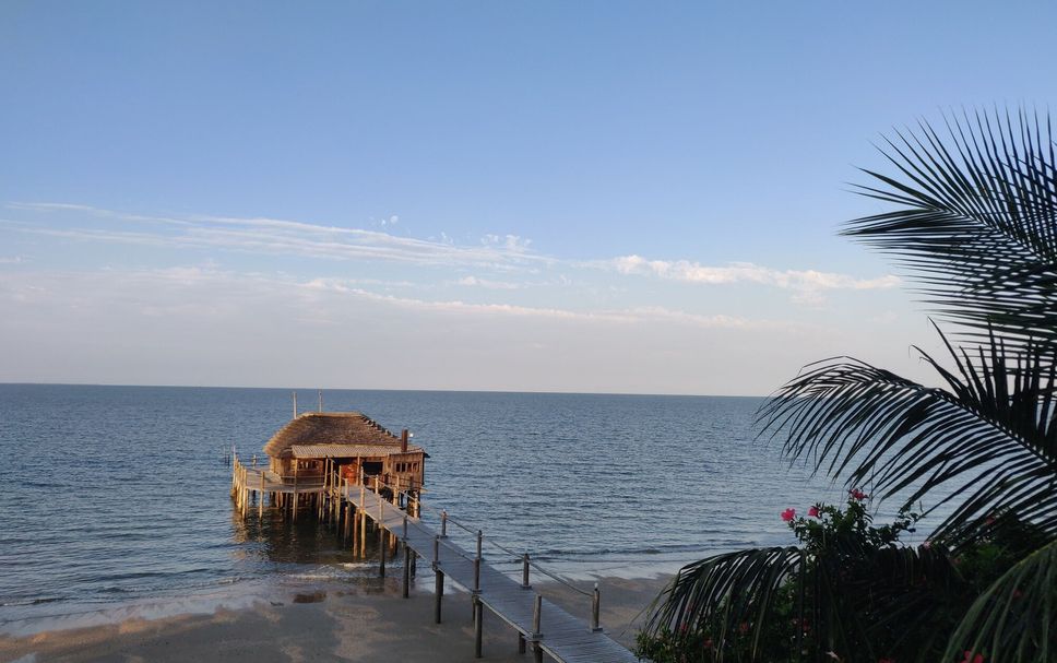 Other Photo