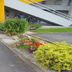 Outdoor view