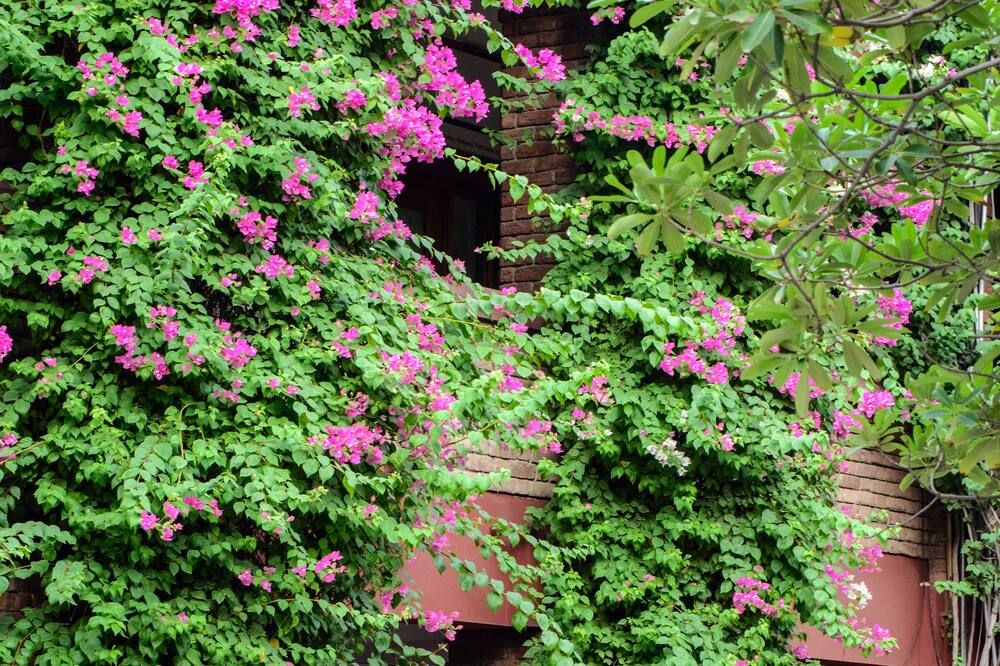Outdoor view