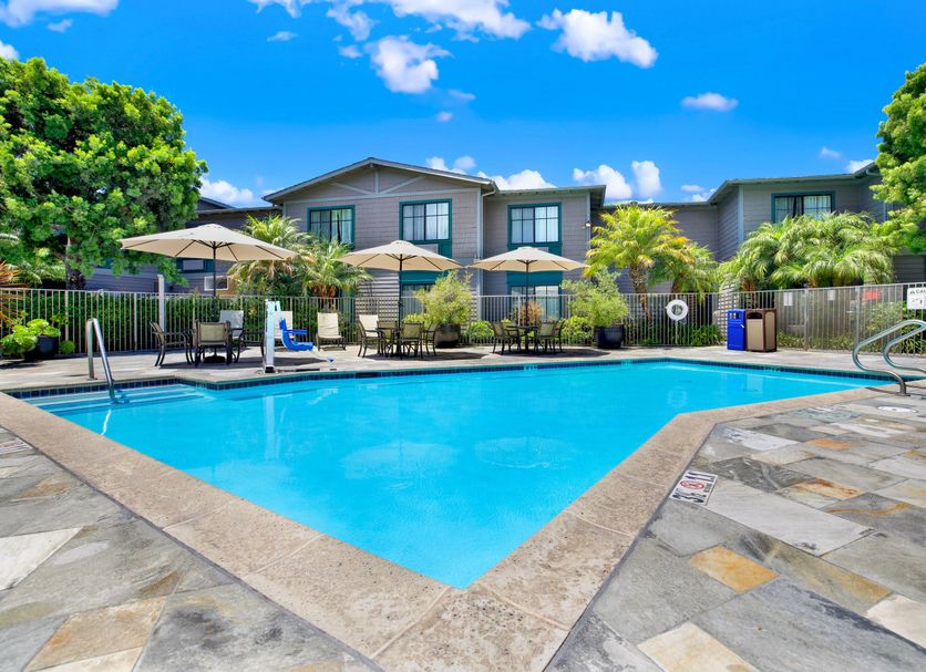Pool Photo