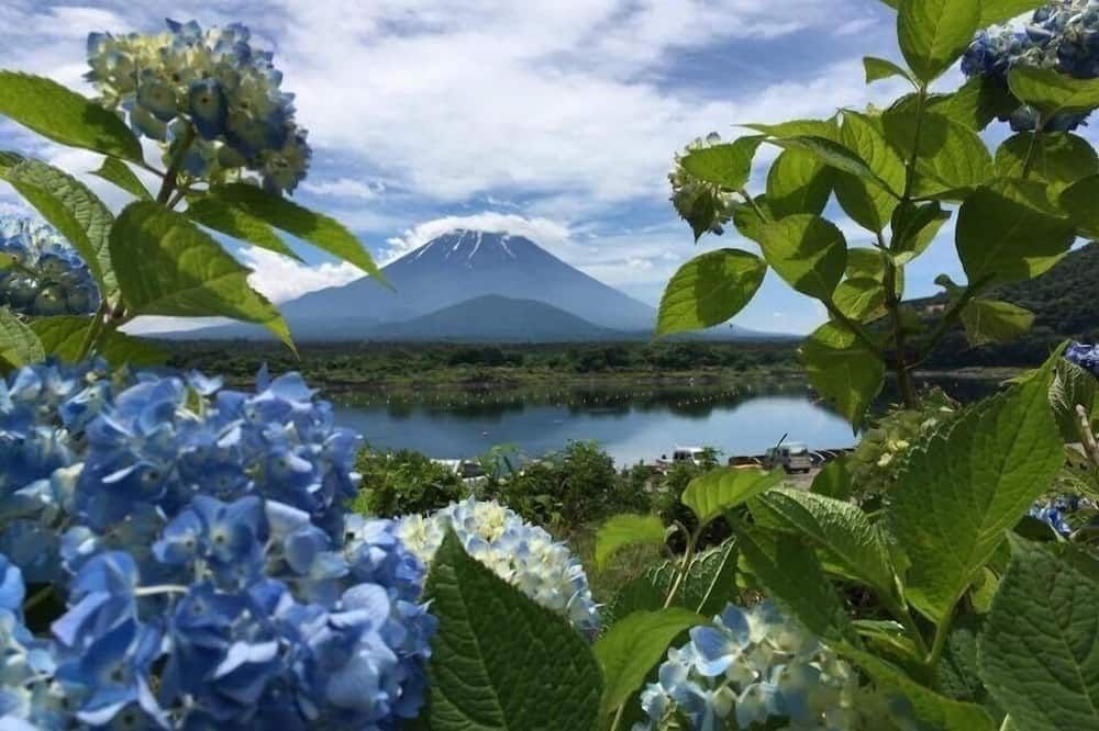 Outdoor view