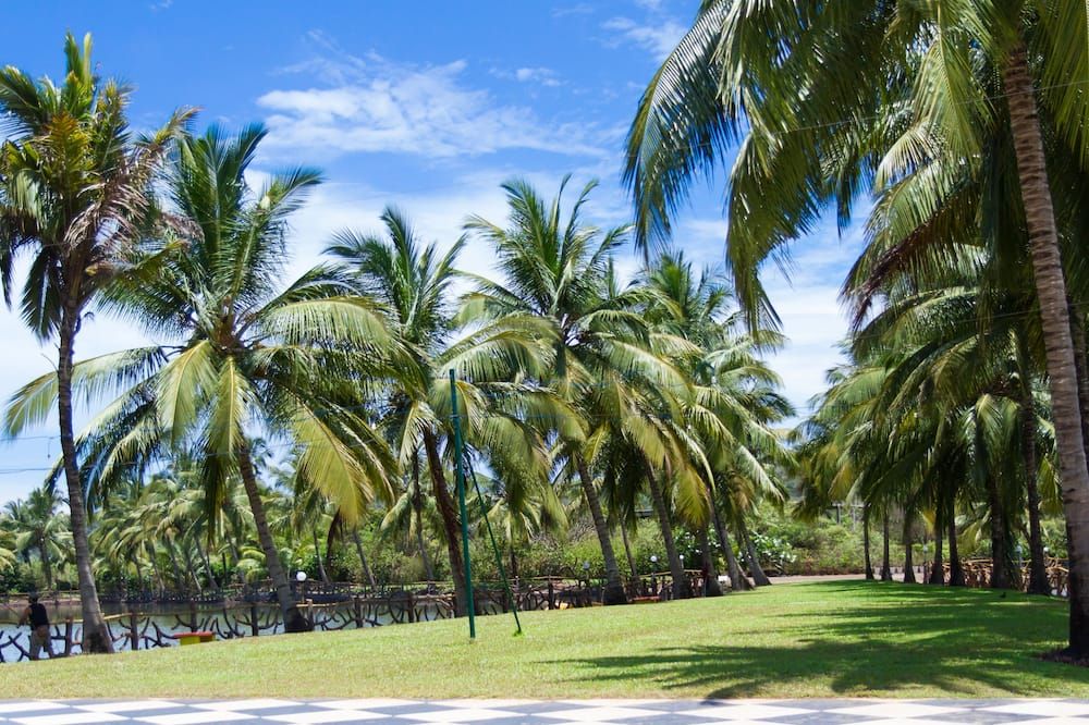 Outdoor view