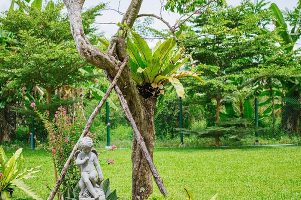 Outdoor view