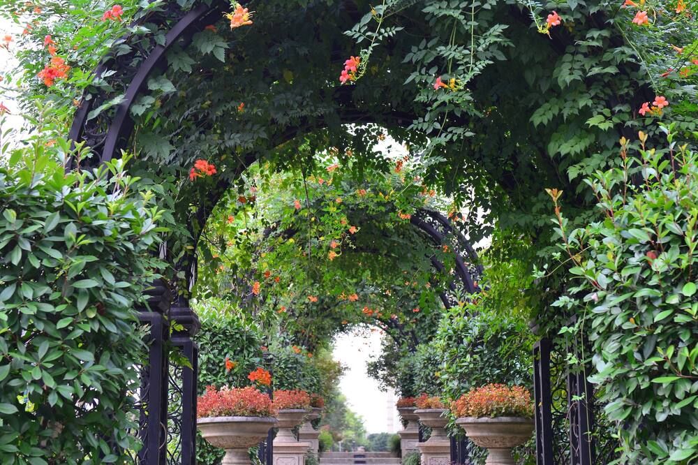 Outdoor view