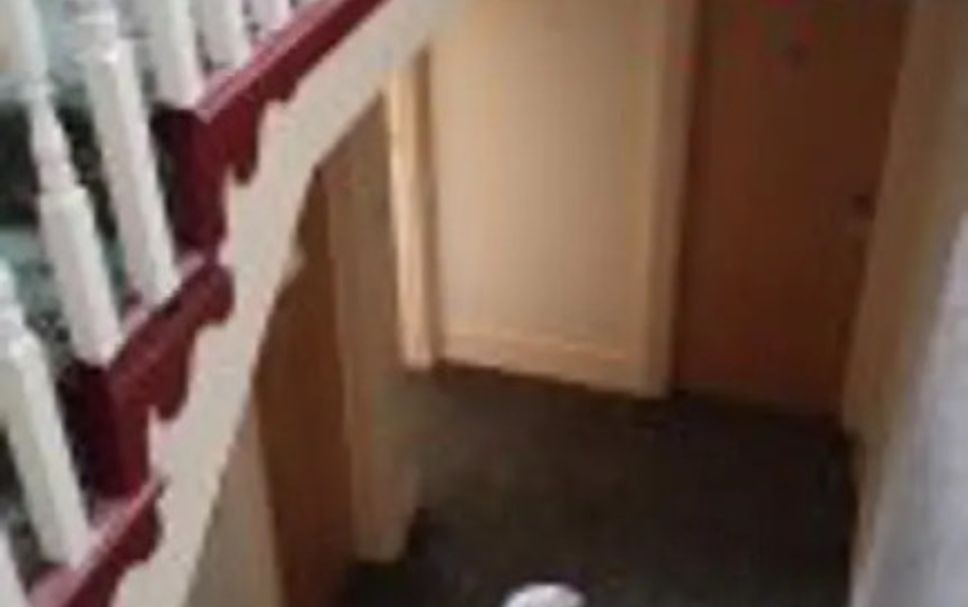 Stairs Photo