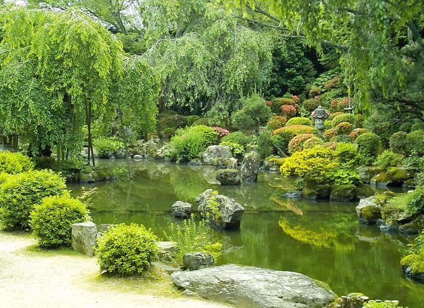 Outdoor view Photo