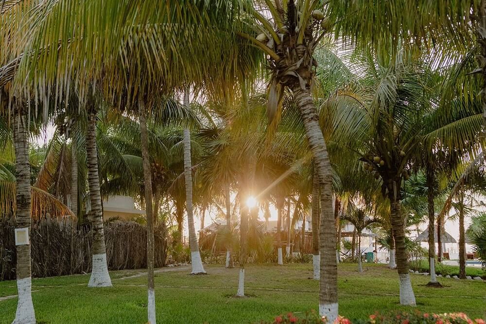 Outdoor view