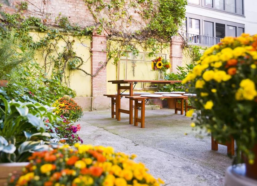 Patio Photo