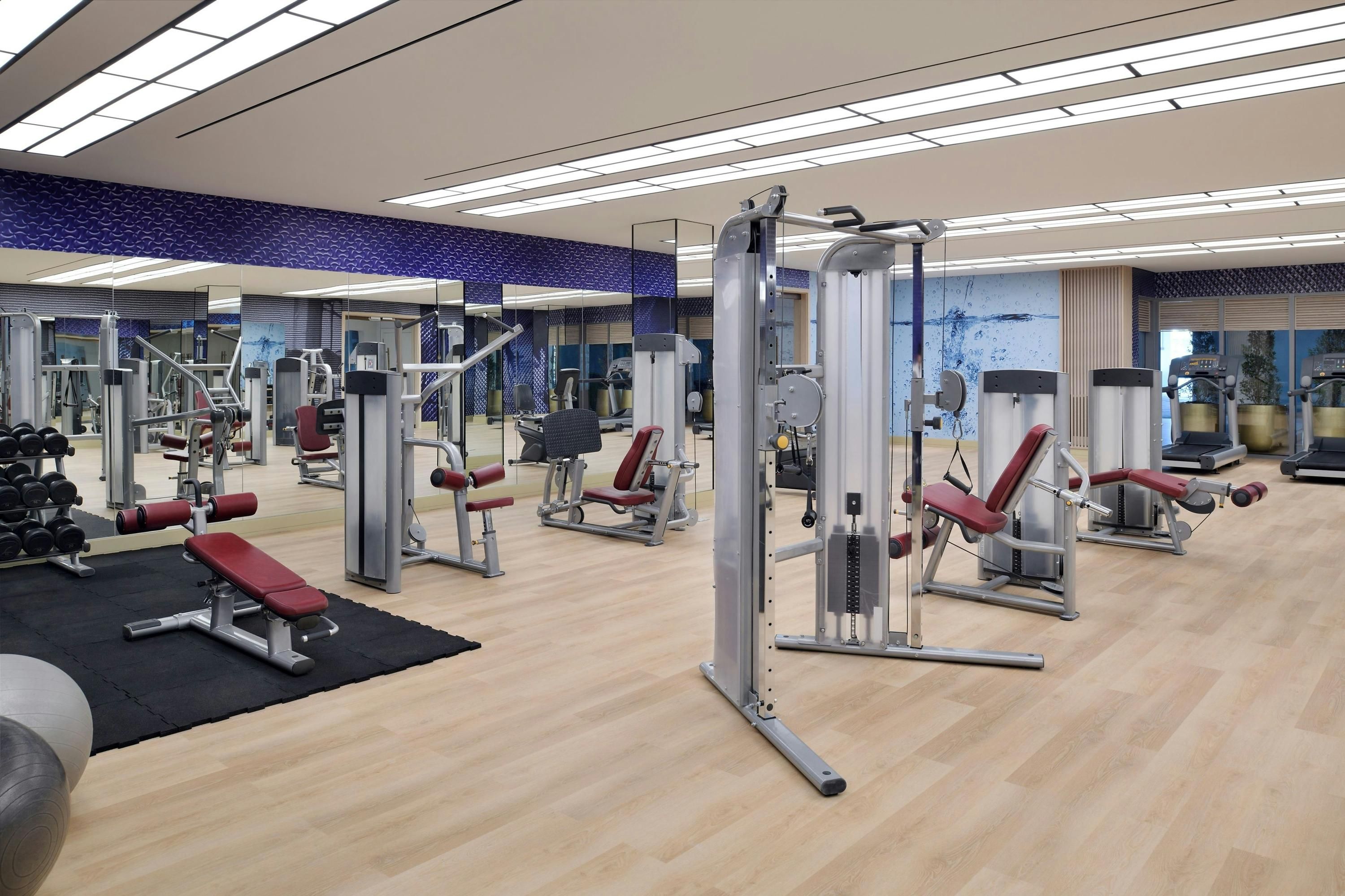 Gym