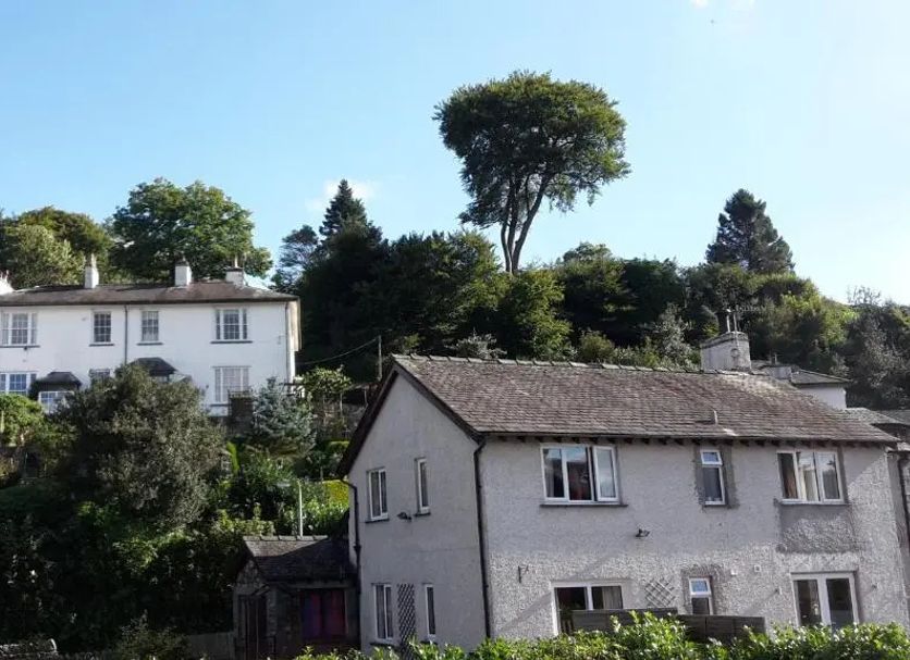 Outdoor view Photo