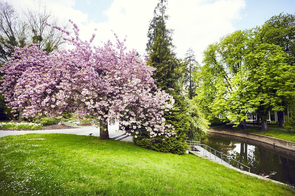 Outdoor view