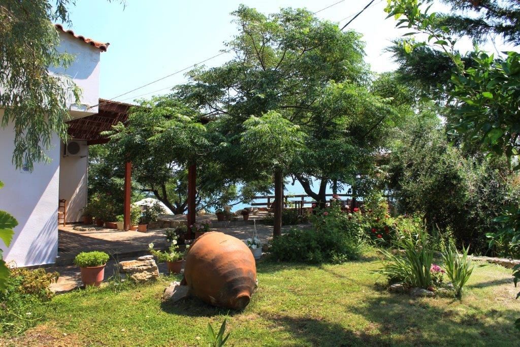 Outdoor view