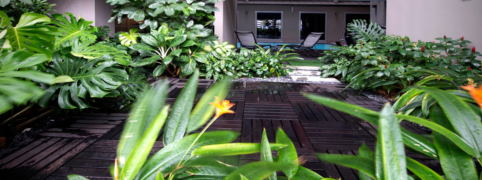 Outdoor view