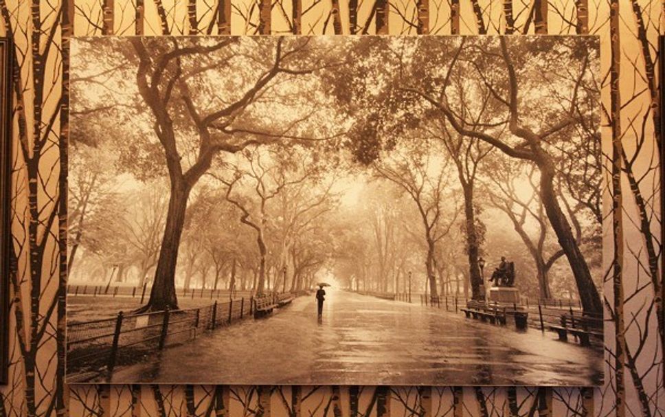Decor Photo