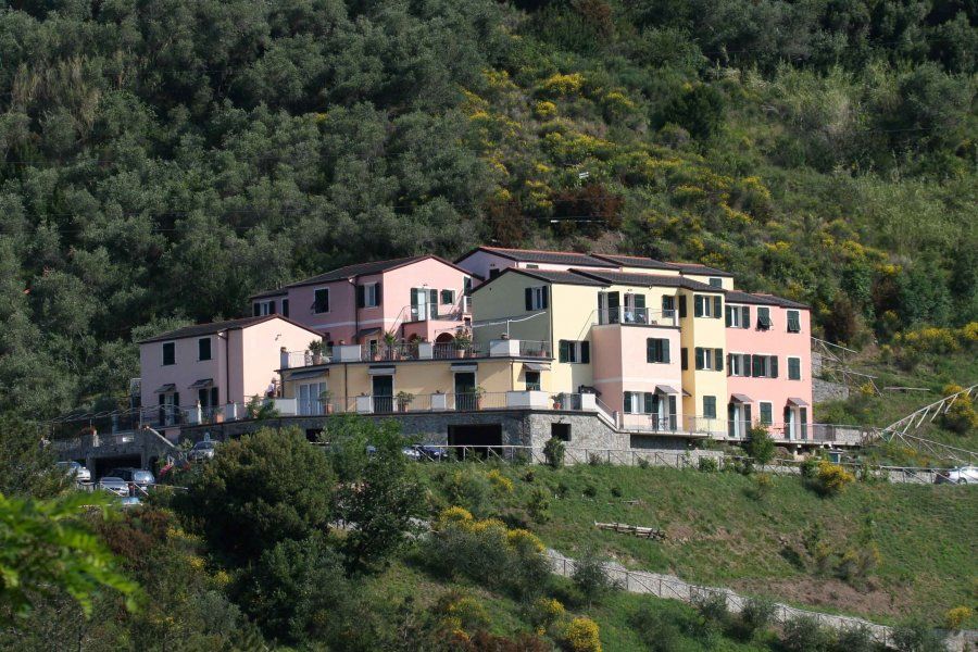 Outdoor view