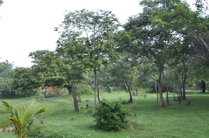Outdoor view