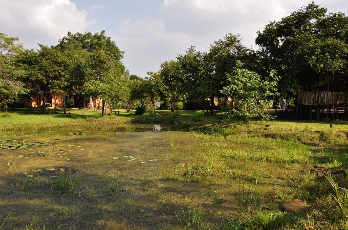 Outdoor view