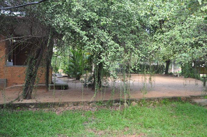Outdoor view