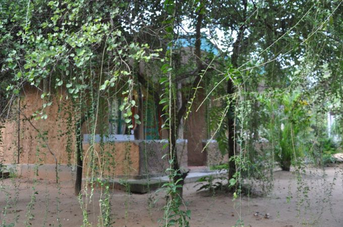 Outdoor view