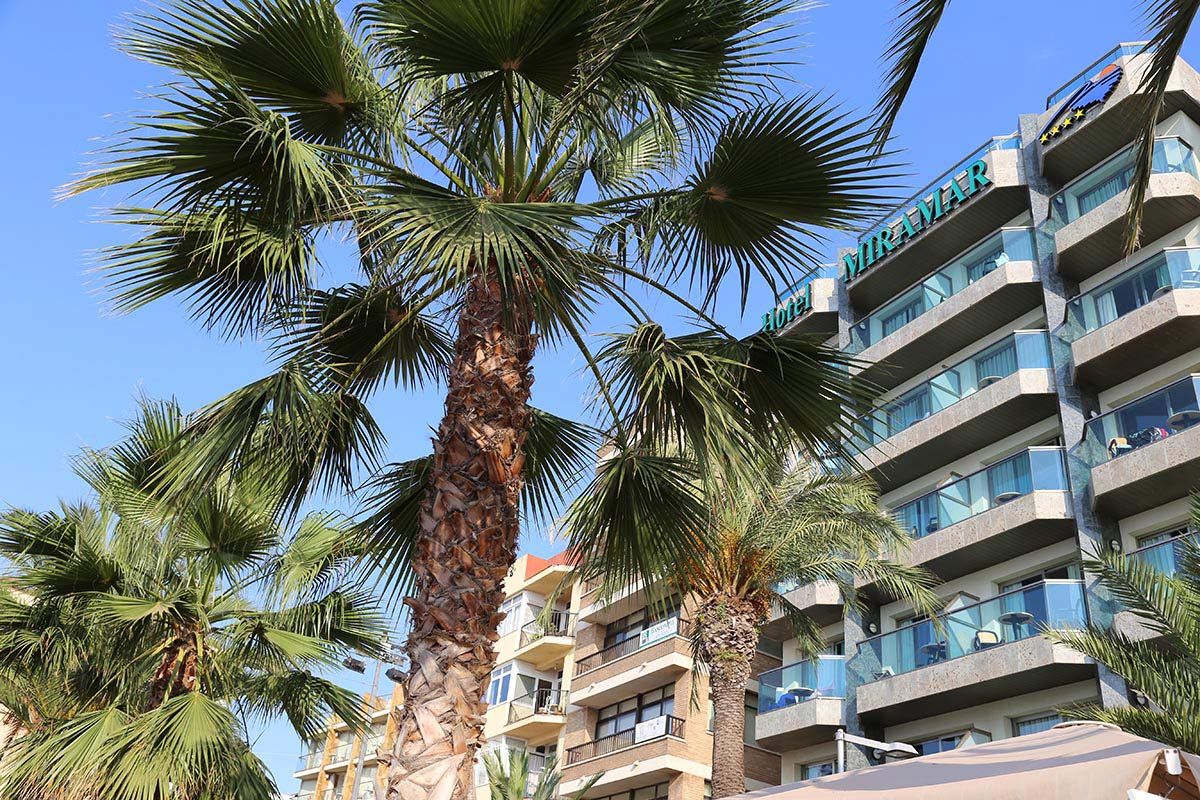 Outdoor view