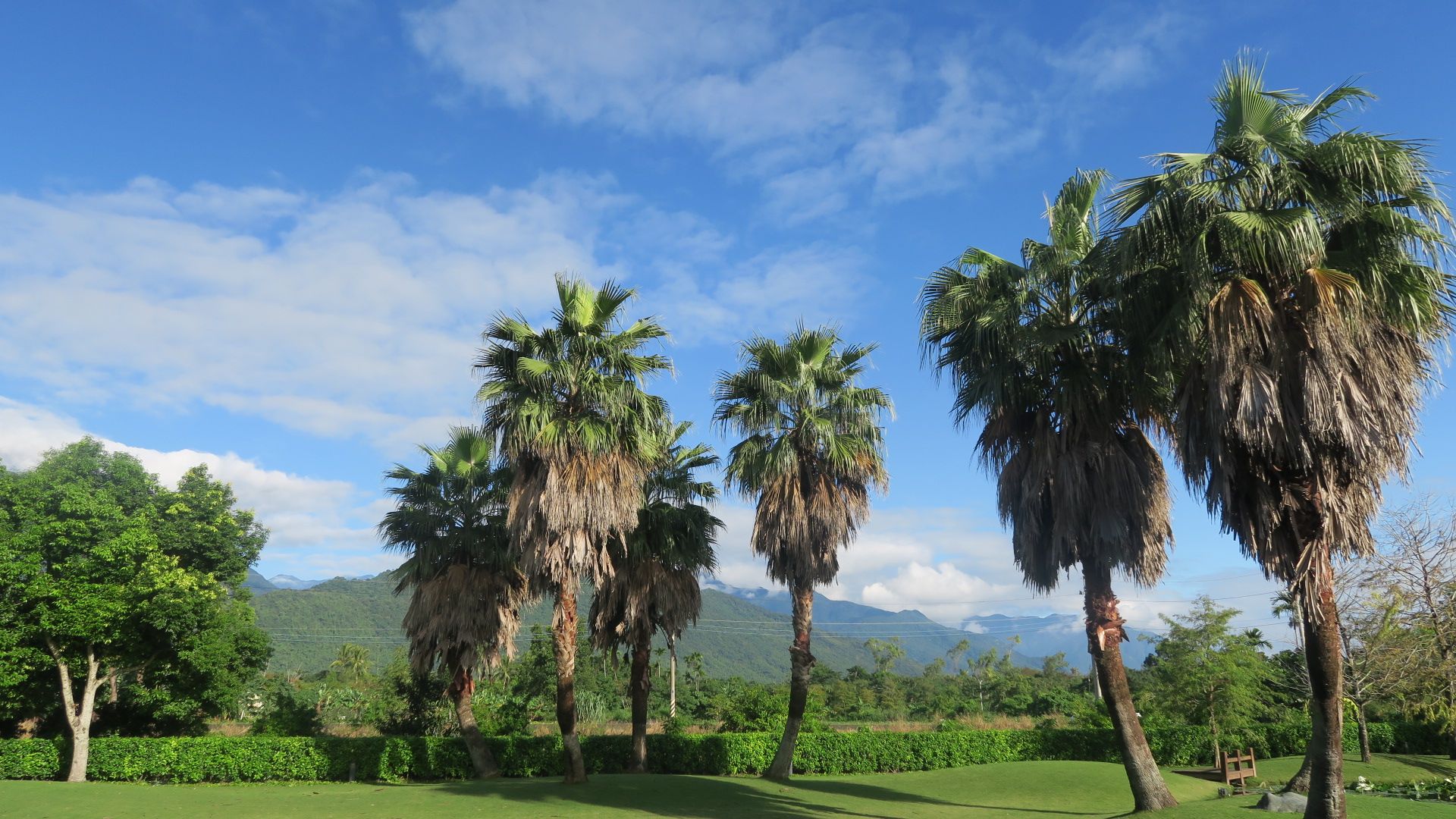 Outdoor view