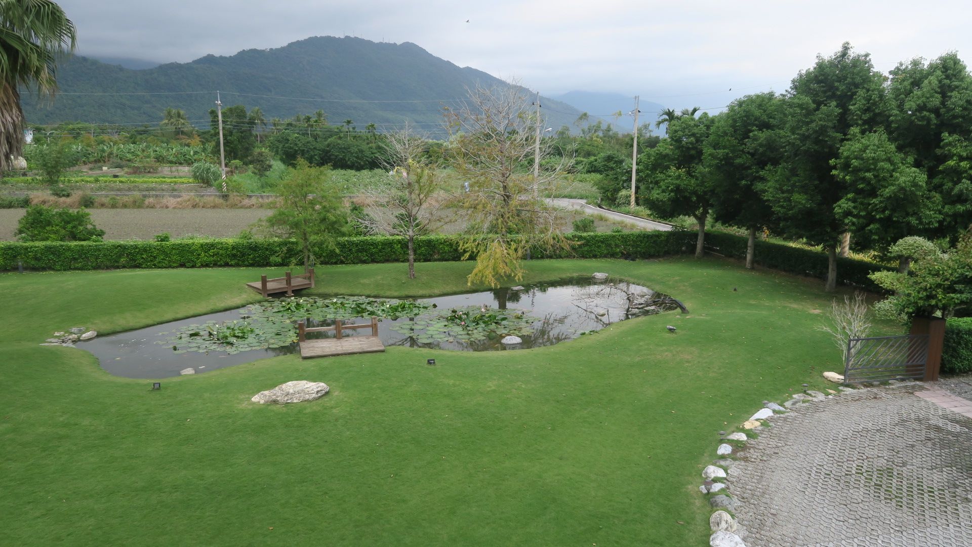 Outdoor view
