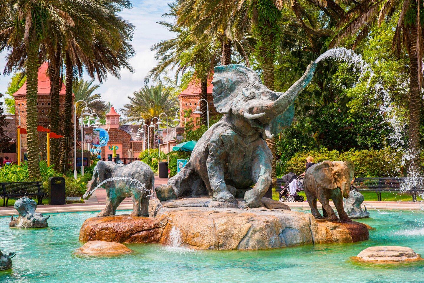 Attractions