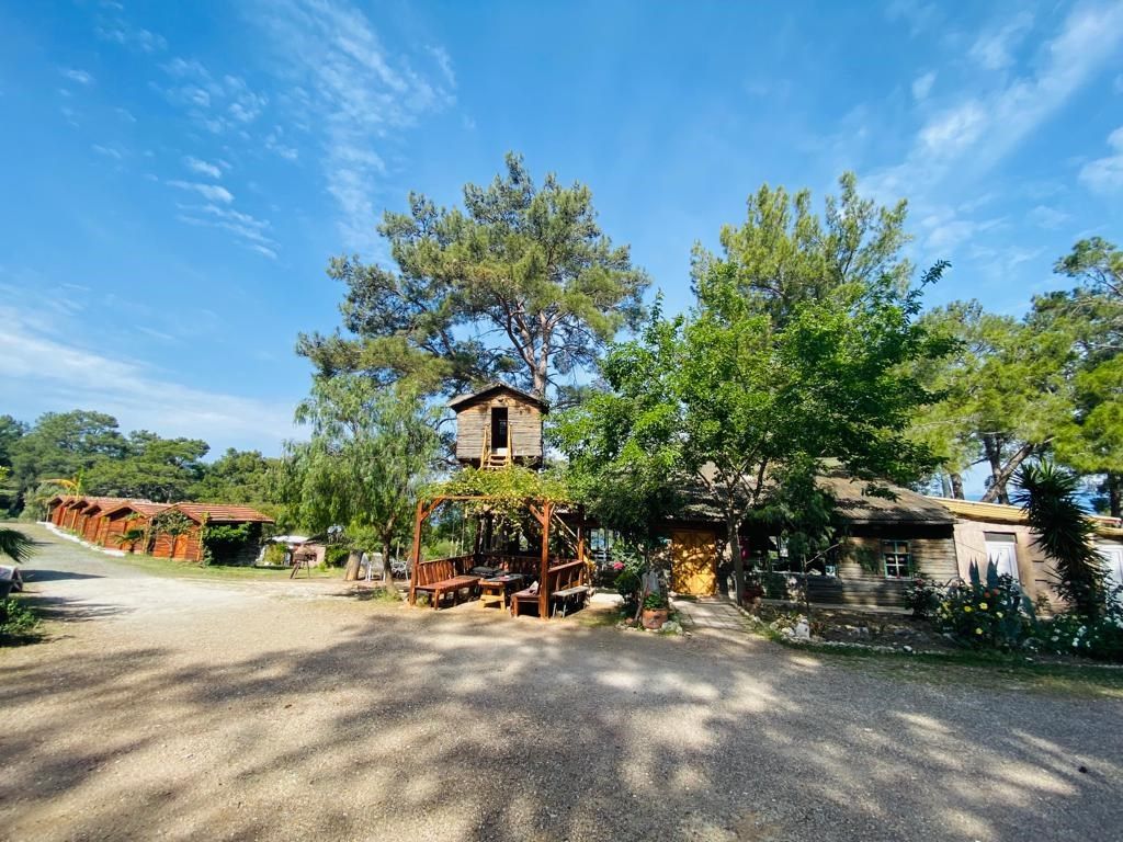 Outdoor view