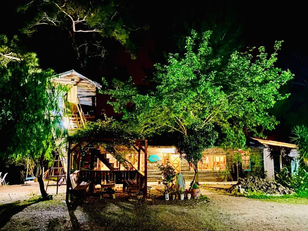 Outdoor view