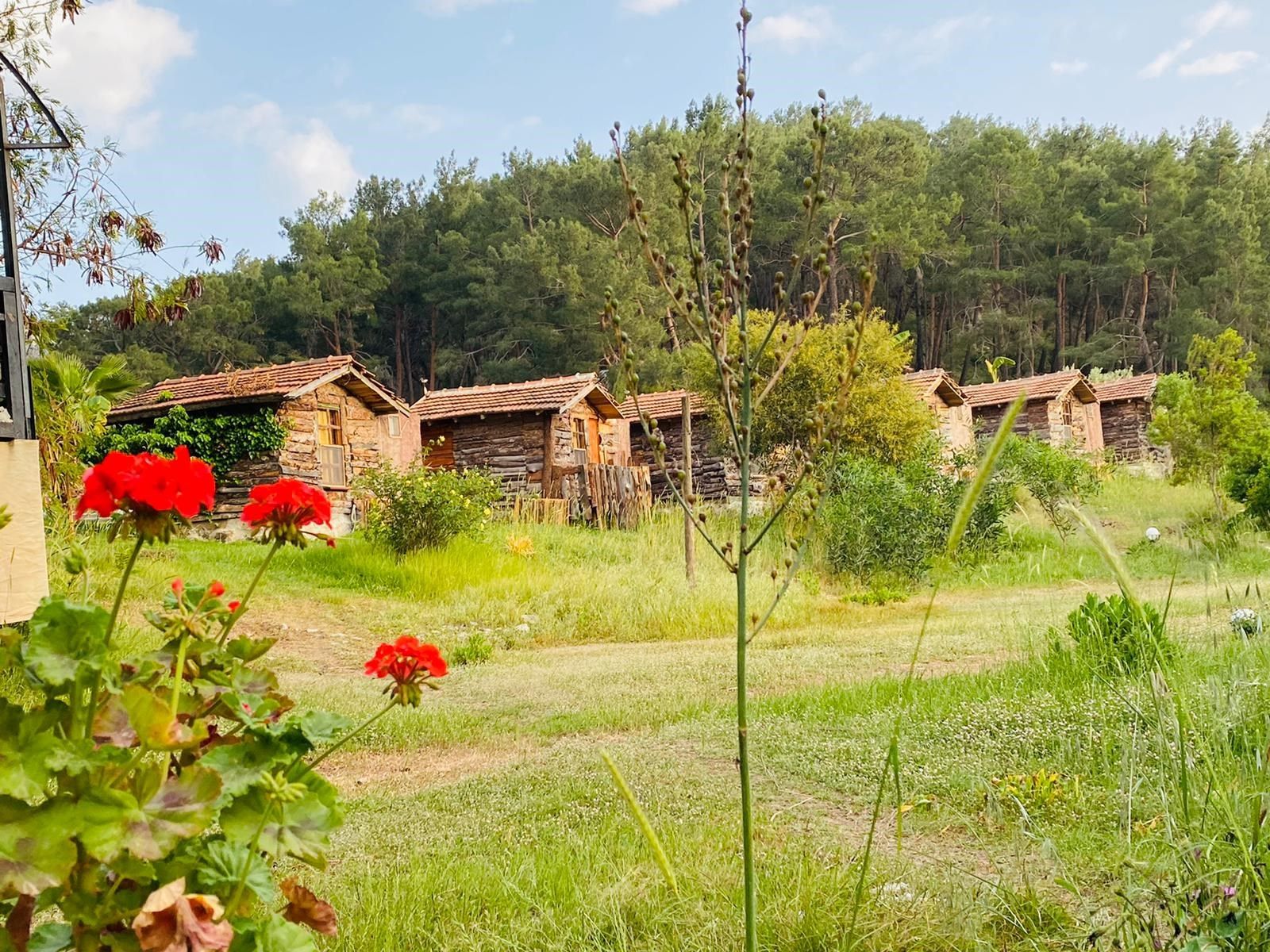 Outdoor view
